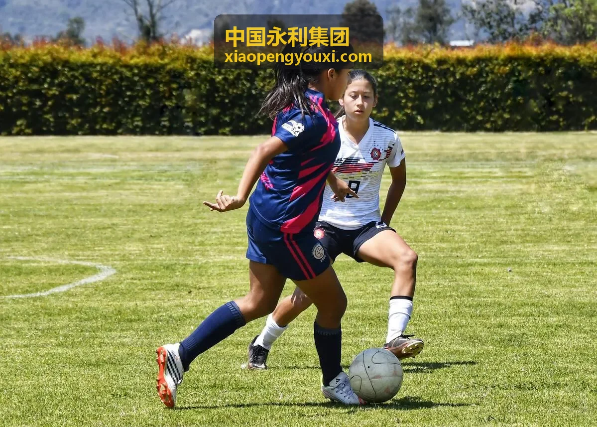 中国永利集团实业投资板块