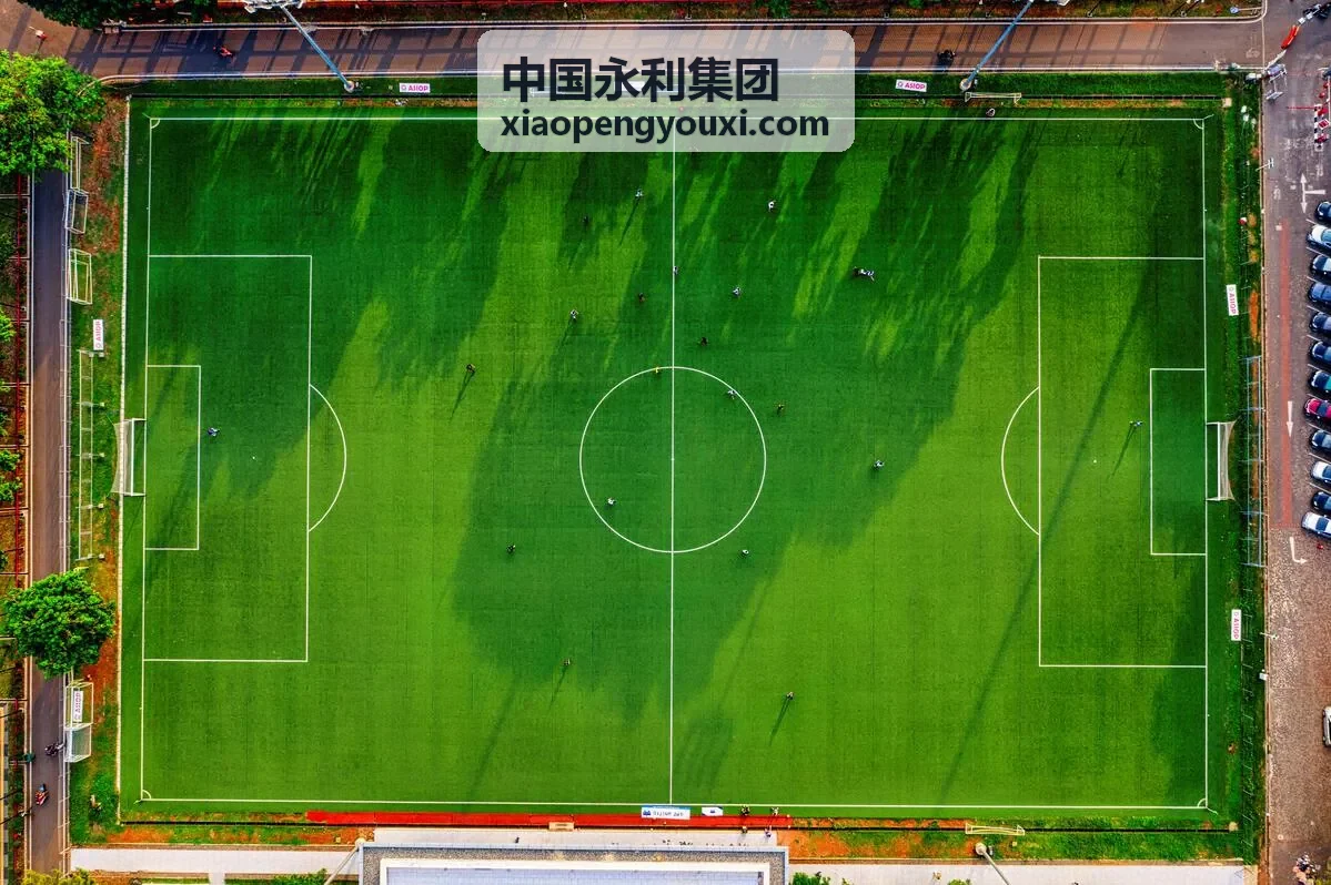 合作伙伴1